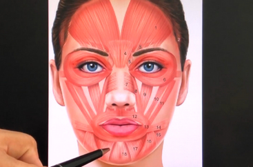 Botulinum Toxin & its Application Chin Area Treatment