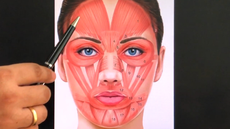 forehead lift
